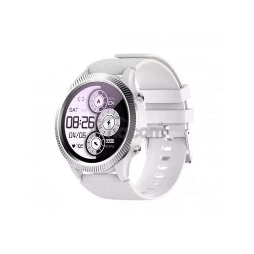 CARNEO Athlete GPS silver