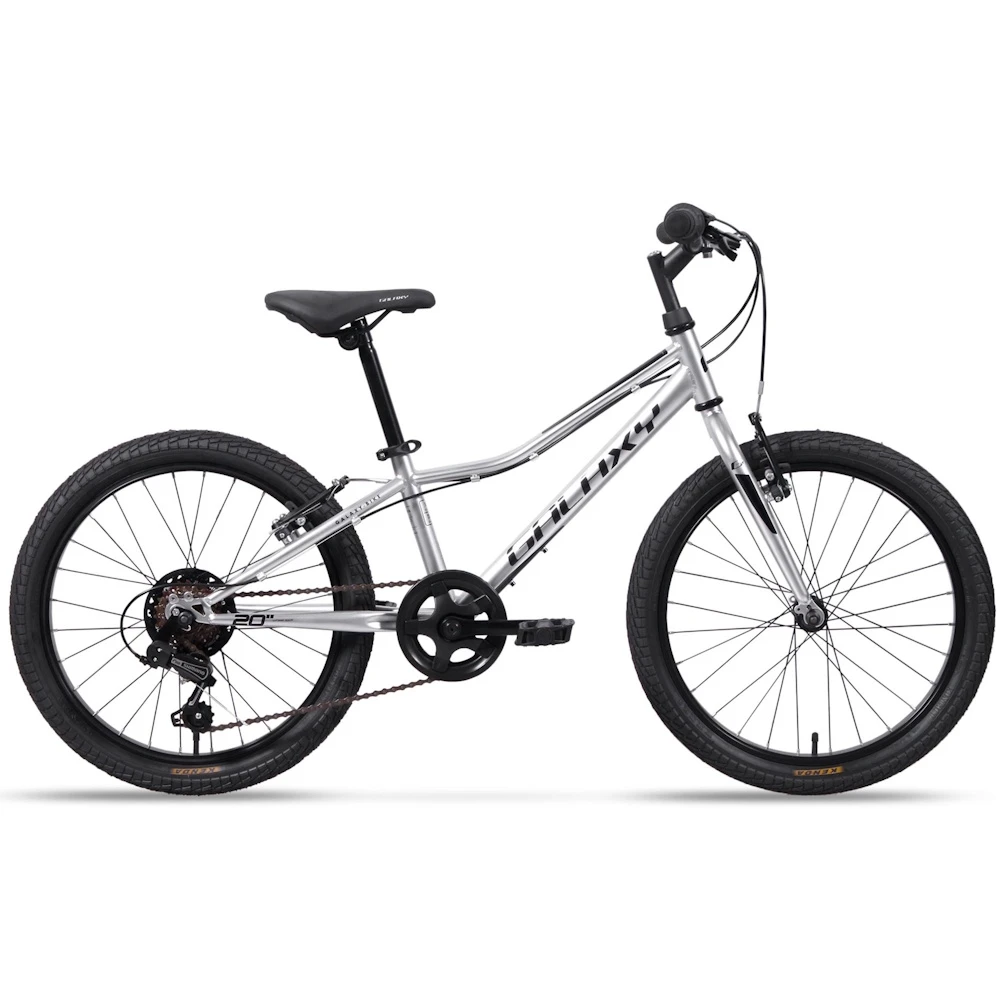 Galaxy Neptun 20" - model 2025 strieborná - 10" (113-135 cm)