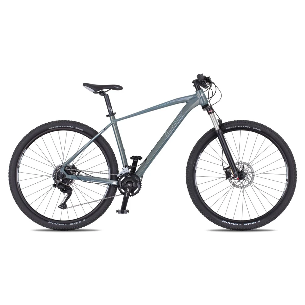 4EVER FRONTBEE 29'' - model 2025 foggy/silver - M (17", 165-175 cm)