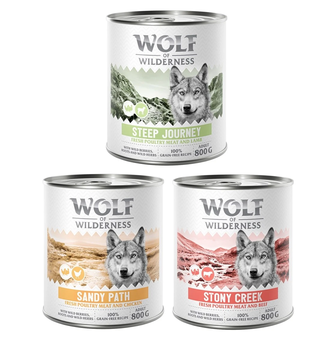 6 x 800 g miešané balenia - Wolf of Wilderness - 6 x 800 g: 2x hydinové s kuracím, 2x hydinové s jahňacím, 2x hydinové s hovädzím