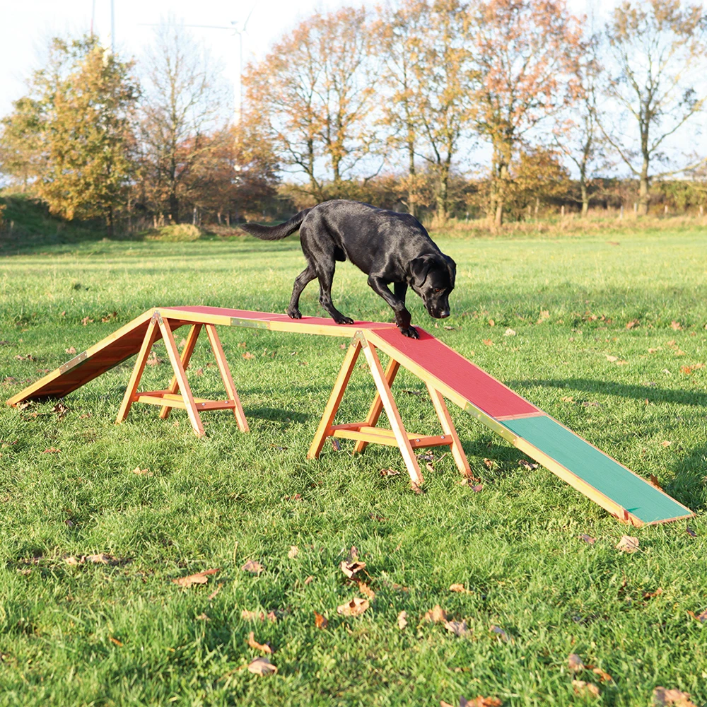Trixie Dog Activity Agility Bridge - D 456 x Š 30 x V 64 cm