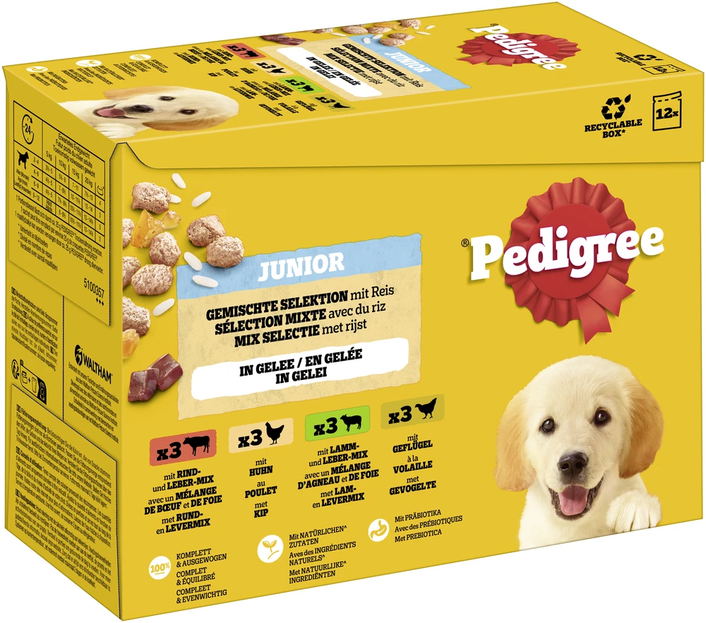 Pedigree Junior Multipack kapsičky  - 24 x 100 g miešaný výber v želé (4 varianty)