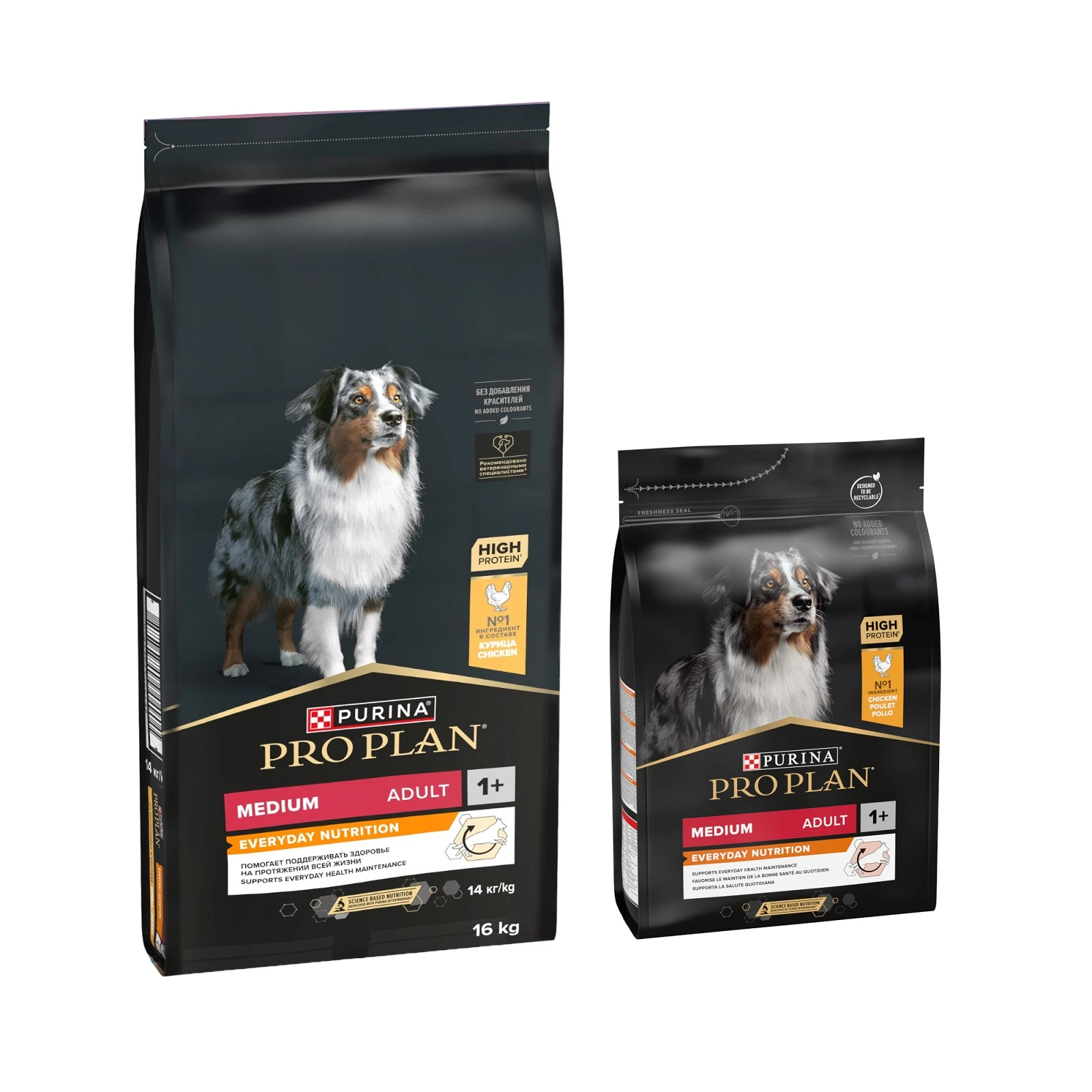 PURINA PRO PLAN - 16 kg + 3 kg zadarmo - Medium Adult Everyday Nutrition, 16 kg + Medium Adult Everyday Nutrition, 3 kg