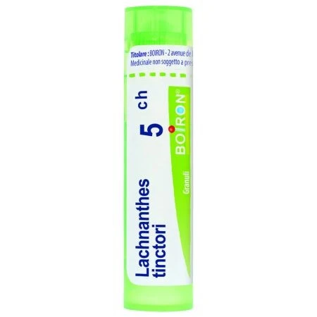 LACHNANTHES TINCTORIA 5CH granule 4 g