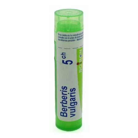 BERBERIS VULGARIS 5CH granule 4 g