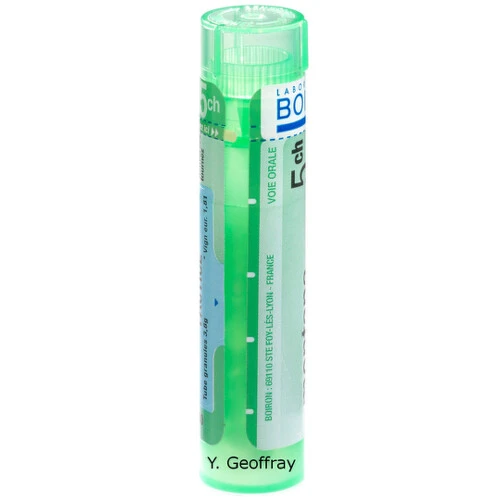 APIS MELLIFICA 5CH granule 4 g