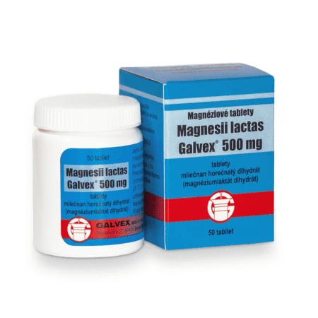 MAGNESII Lactas 500 mg 50 tabliet