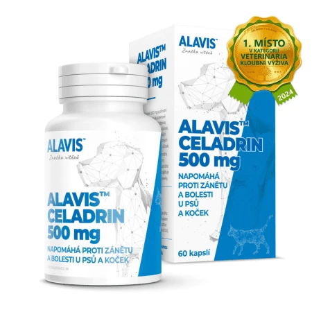 ALAVIS Celadrin 60 kapsúl
