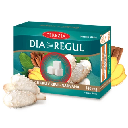 TEREZIA Diaregul 60 kapsúl
