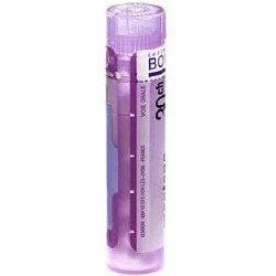 STRAMONIUM gra 1x4g (30CH)