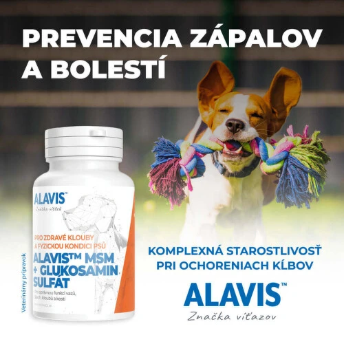 ALAVIS MSM + Glukozamín sulfát 60 tabliet