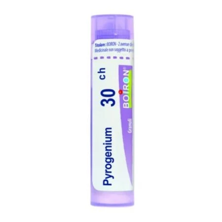 PYROGENIUM 30CH granule 4 g