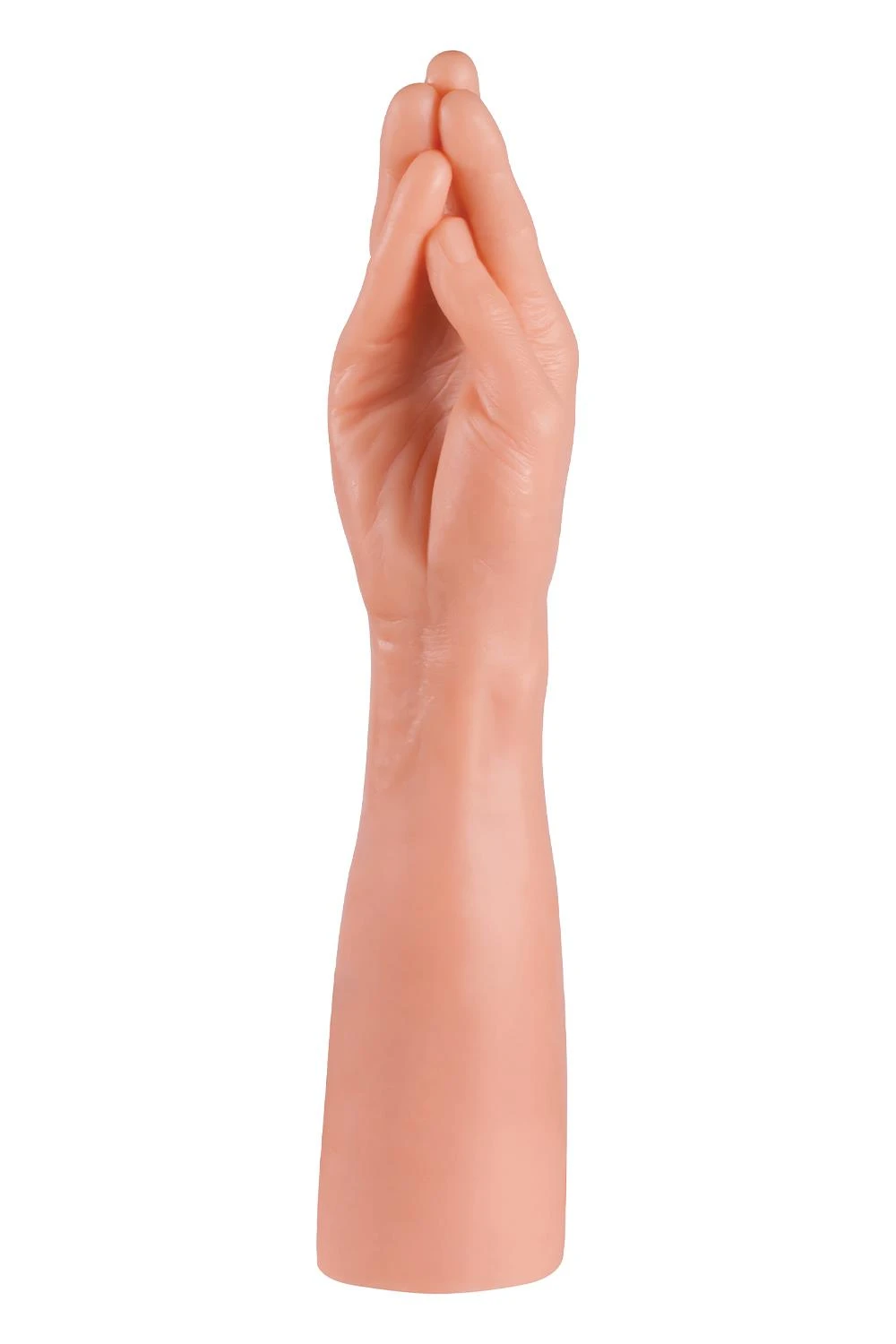 NMC Giant Family Horny Hand Palm