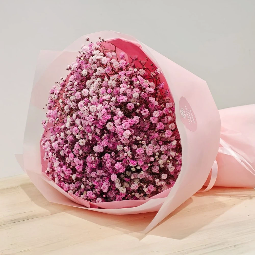 Kytica z gypsomilky - Pink dream M